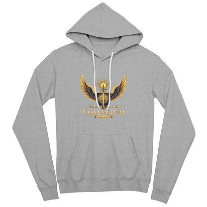 Paladin Collegium Hoodie – School of Oaths Pullover d20Fashions