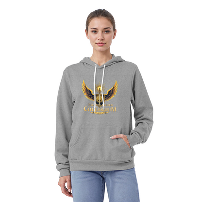 Paladin Collegium Hoodie – School of Oaths Pullover d20Fashions